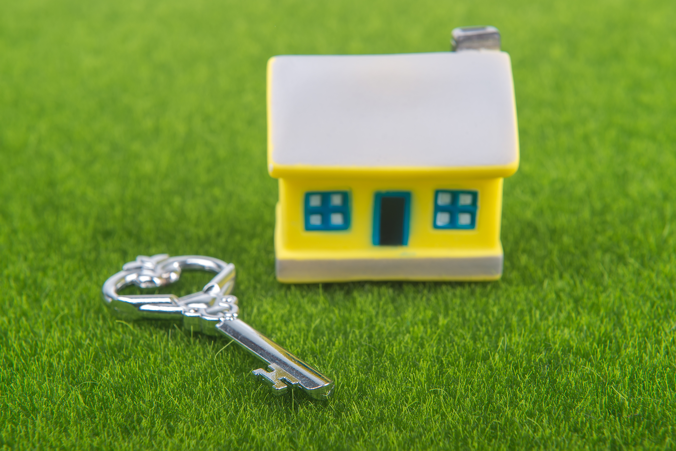 Spring & Summer Property Maintenance Tips for Landlords in Escondido, CA